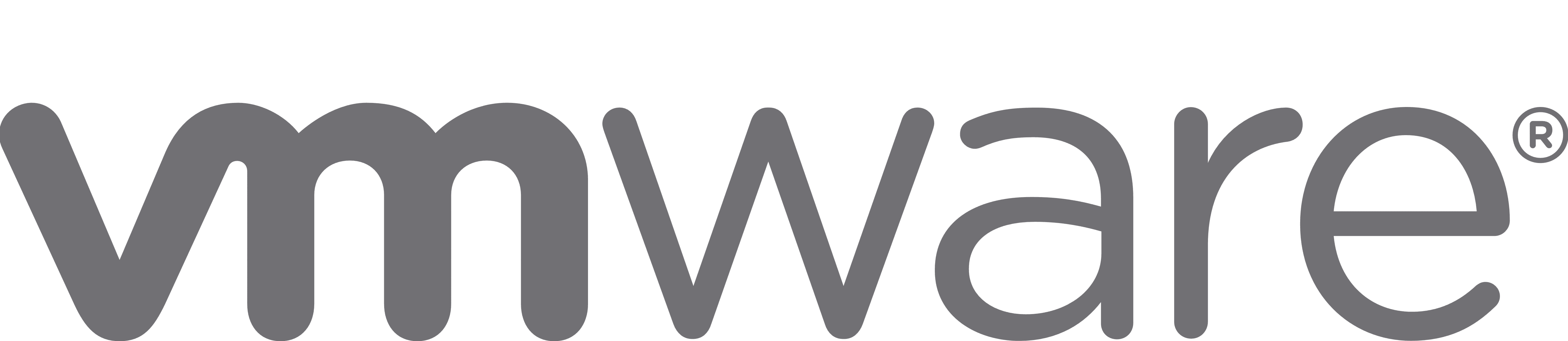 VMware Logo